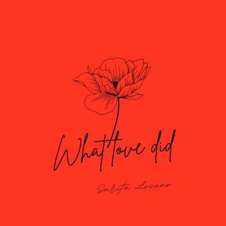 What Love Did | Boomplay Music