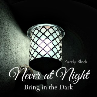 Never at Night - Bring in the Dark