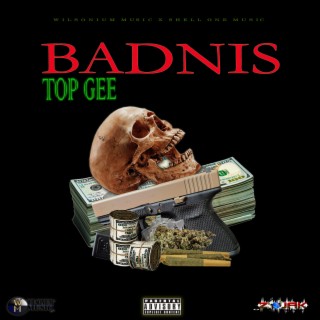 Badnis