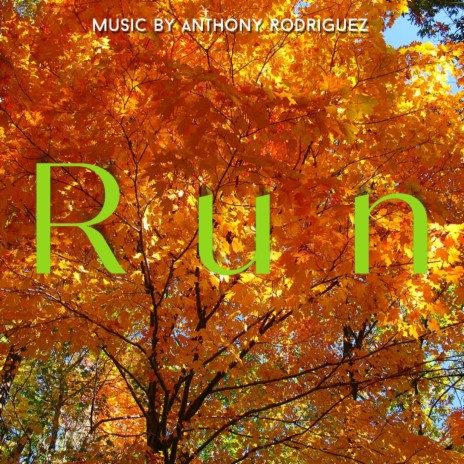 Run | Boomplay Music