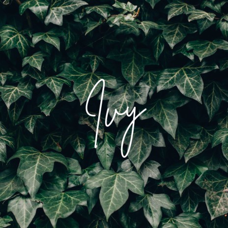Ivy | Boomplay Music