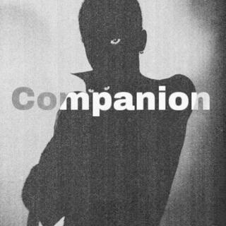 Companion