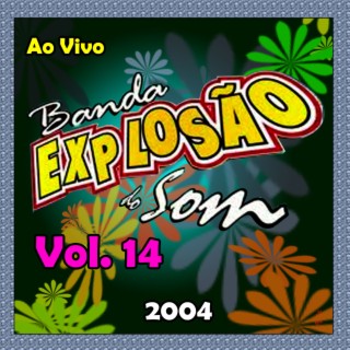 VOLUME 14 AO VIVO - 2004