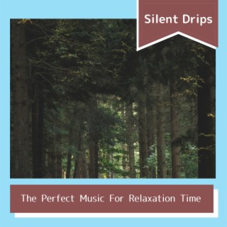 The Perfect Music for Relaxation Time