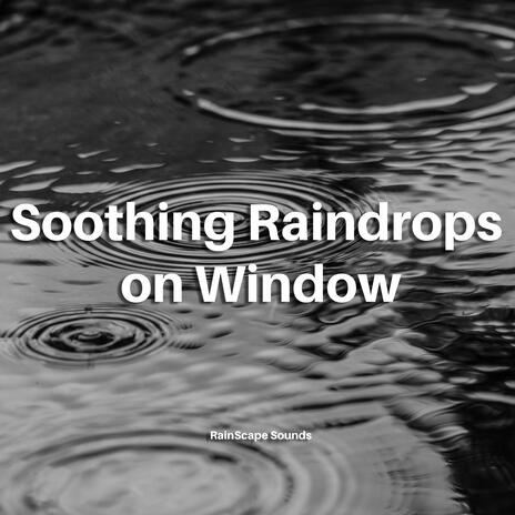 Soothing Raindrops on Window | Boomplay Music