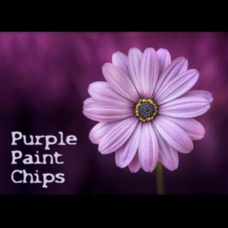 Purple Paint Chips