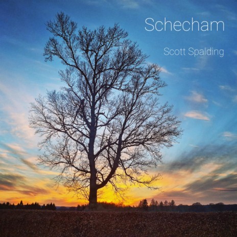 Schecham | Boomplay Music