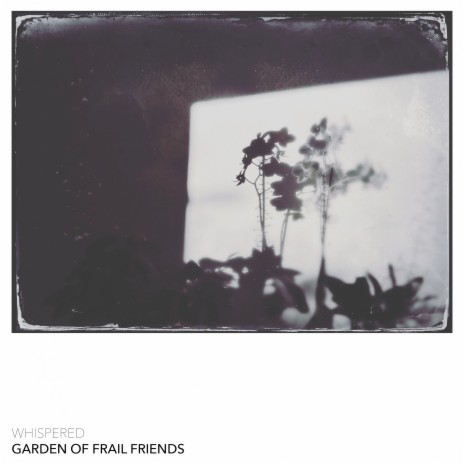 Garden of Frails Friends | Boomplay Music