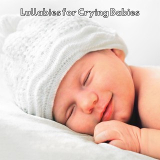 Lullabies for Crying Babies: Calm Night & Sweet Dreams (Instrumental Piano Music)