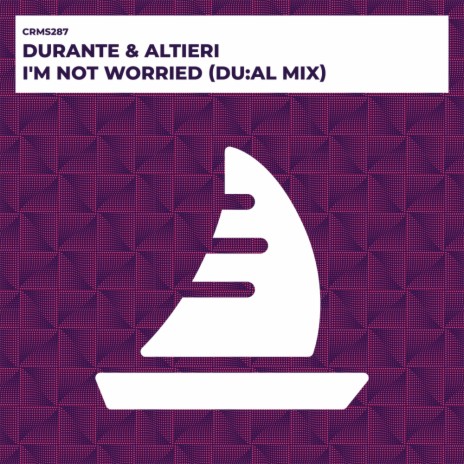 I'm Not Worried (DU:AL Mix) ft. Altieri | Boomplay Music
