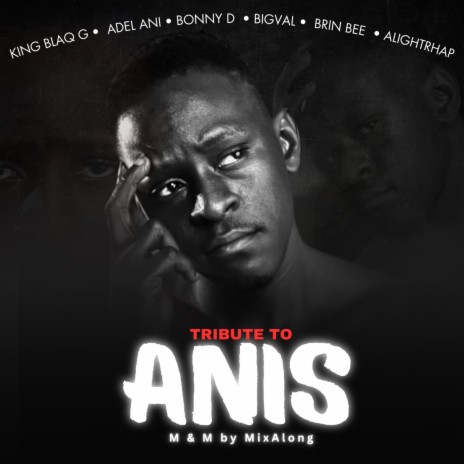 Tribute to Anis ft. Adel Ani, Bonny D, Bigval, Brin Bee & Alight Rhap | Boomplay Music