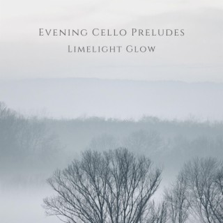 Evening Cello Preludes