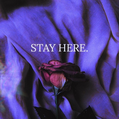 STAY HERE | Boomplay Music