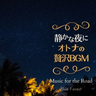 静かな夜に〜大人の贅沢BGM〜 - Music for the Road