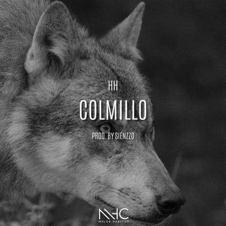Colmillo | Boomplay Music