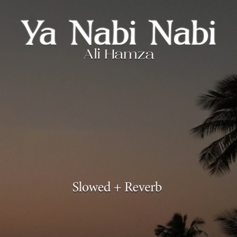 Ya Nabi Nabi Lofi | Boomplay Music