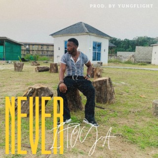 Never lyrics | Boomplay Music