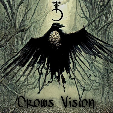 Crows Vision | Boomplay Music