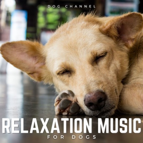 Peaceful Piano Music for Your Dog