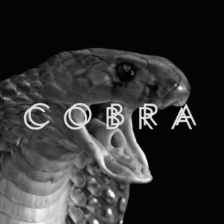 Cobra