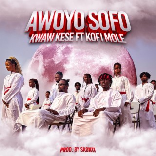 Awoyo Sofo ft. Kofi Mole lyrics | Boomplay Music