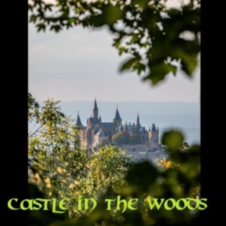 Castle in the Woods