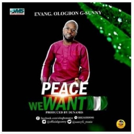 Peace We Want | Boomplay Music