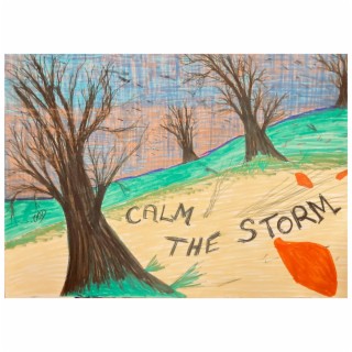 Calm the Storm