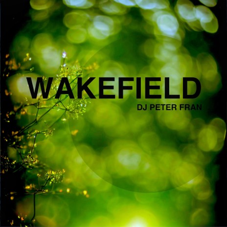 Wakefield | Boomplay Music