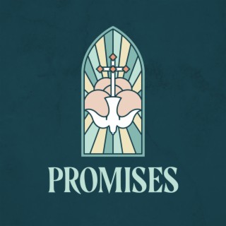 Promises (Live)