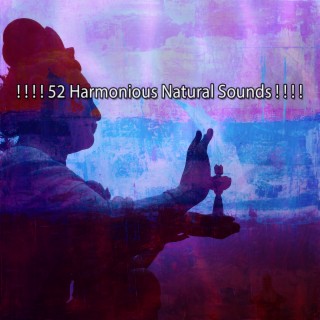! ! ! ! 52 Harmonious Natural Sounds ! ! ! !