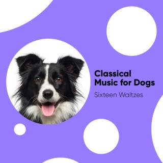 Classical Music for Dogs: Sixteen Waltzes by Johannes Brahms