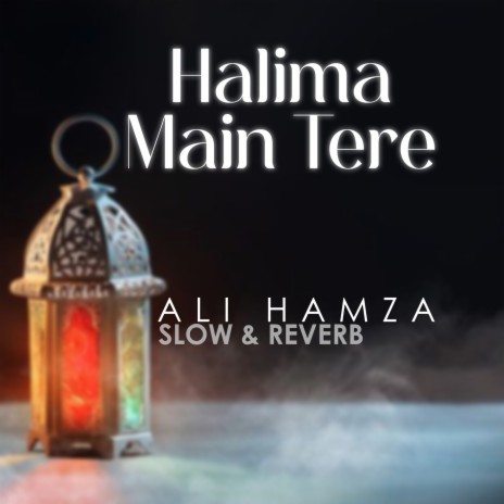 Halima Main Tere Lofi | Boomplay Music