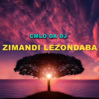 Zimnandi Lezondaba