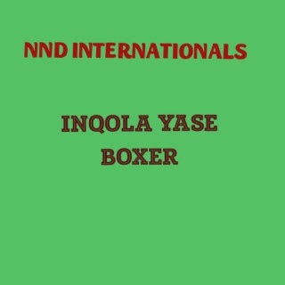 NND International