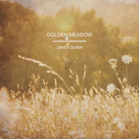 Golden Meadow
