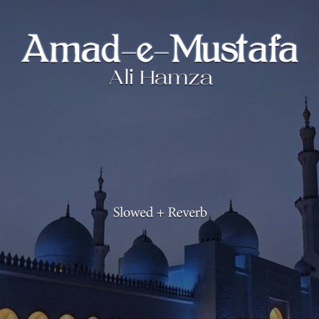 Amad-e-Mustafa Lofi | Boomplay Music