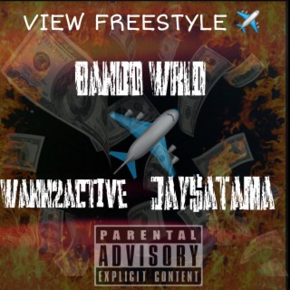 View Freestyle