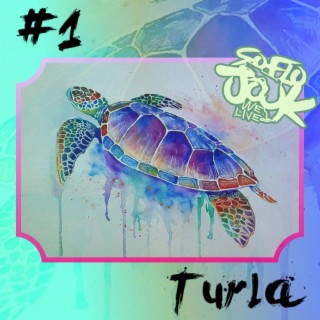 #1 Turla