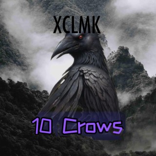 10 Crows