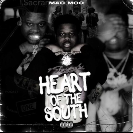 Heart of the south | Boomplay Music