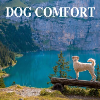 Dog Comfort