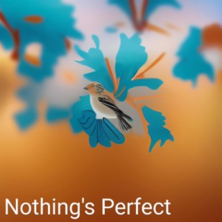 Nothing's Perfect