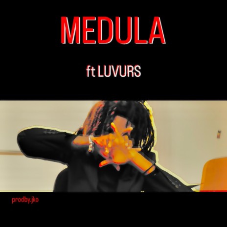 Medula ft. Luvurs | Boomplay Music