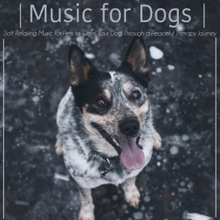 Relax my dog sales calm your dog