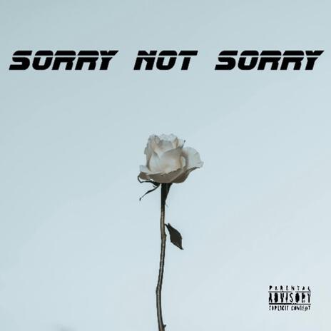 Sorry Not Sorry | Boomplay Music