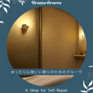 ゆったり心地いい眠りのためのグルーヴ - A Sleep for Self-Repair