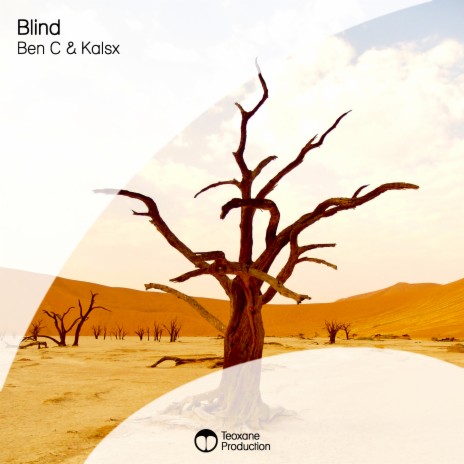 Blind (Extended Mix) ft. Kalsx | Boomplay Music