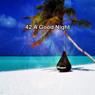 42 A Good Night