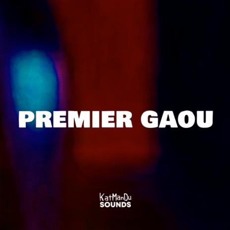 Premier Gaou | Boomplay Music